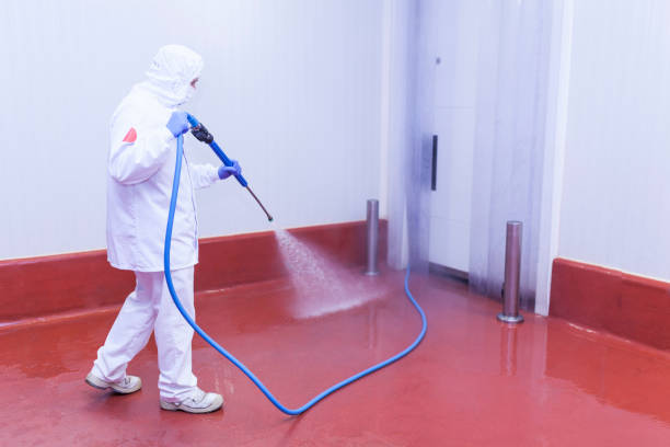 Best Sidewalk and Walkway Cleaning  in San Carlos Park, FL