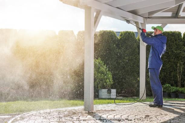 Best Solar Panel Cleaning  in San Carlos Park, FL