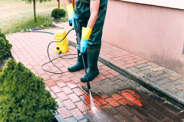Best Building Exterior Washing  in San Carlos Park, FL